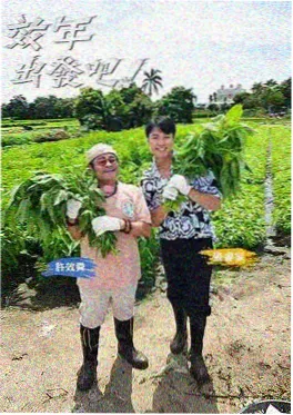 美食夜游